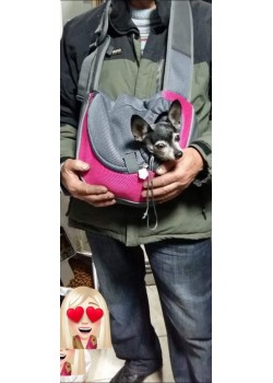 Чанта за носене на куче през рамо 